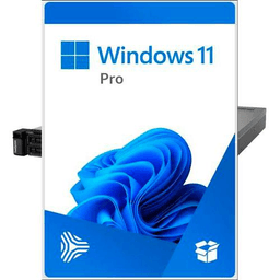 Microsoft Windows 11 Pro professional