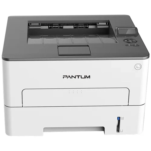 Impresora Pantum Laser P3010DW